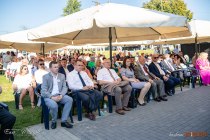 IMG_0361