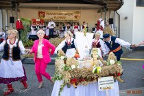 IMG_0459
