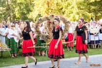 IMG_0564