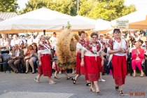 IMG_0582