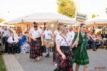 IMG_0765