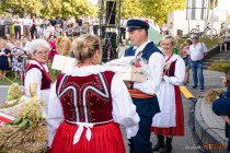 IMG_0861