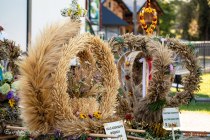 IMG_9015