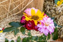 IMG_9080