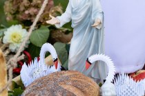 IMG_9084