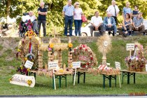 IMG_9090