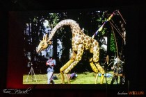 IMG_7505