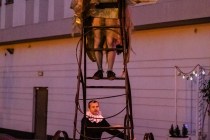 IMG_9699