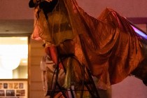 IMG_9709