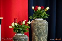 IMG_8001