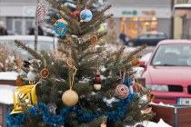 IMG_9956