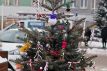 IMG_9958