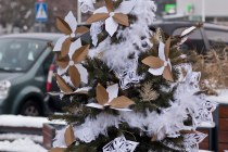 IMG_9961