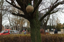 IMG_20231213_105014