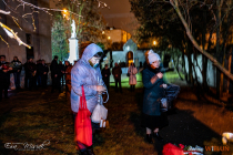 2Q4A5294