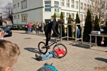 IMG_2463
