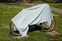 IMG_6727