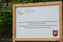 IMG_1958