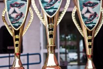 IMG_6201