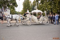 IMG_3238