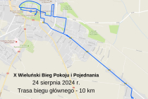 X-Bieg-Pokoju-i-Pojednania-trasa-2024