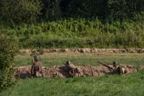 img_0485
