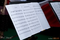 IMG_5367
