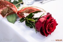 IMG_7935