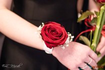 IMG_3630
