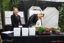 IMG_7978