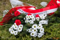 IMG_3952
