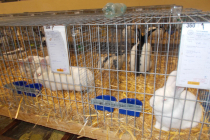 DSCN4736.JPG