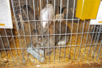 DSCN4738.JPG