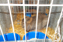 DSCN4741.JPG