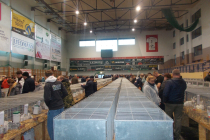 DSCN4753.JPG