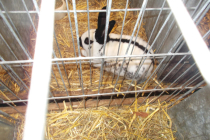 DSCN4761.JPG