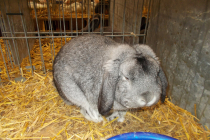 DSCN4762.JPG