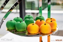 IMG_3231