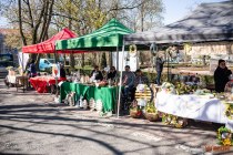IMG_4857