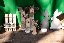 IMG_4887