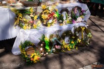 IMG_4889