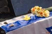 IMG_5218