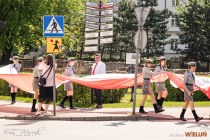 IMG_8235