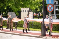 IMG_8238