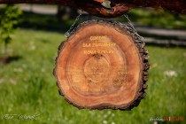 IMG_8022