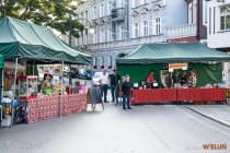 IMG_2829