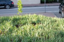 IMG_2847