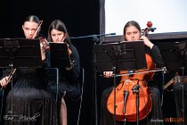 IMG_3011