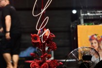 514264582_1543966330376262_1110369928750316869_n