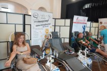 516632291_1056932156545365_1544071819275721881_n